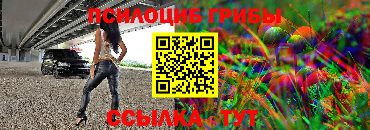 Тобольск  Галлюциногенные грибы Psilocybine cubensis  Вход с VPN 